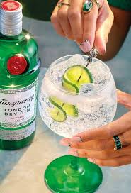 Gin Tonic