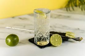 Vodka Tonic