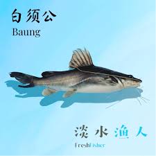 白须公 Pak Sok Kong